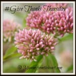 GiveThanksThursday_zpsf65533ce
