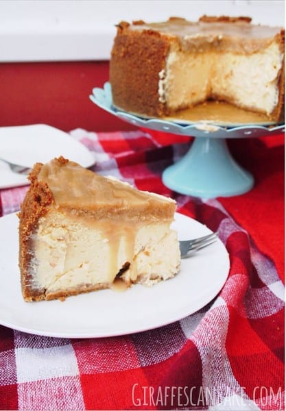 apricot cheesecake amaretto caramel