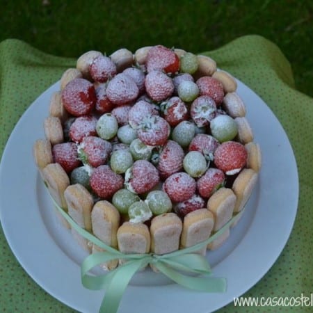 Lime Charlotte Cake Above View