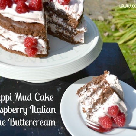 Mississippi Mud Pie Cake Bake of the Week